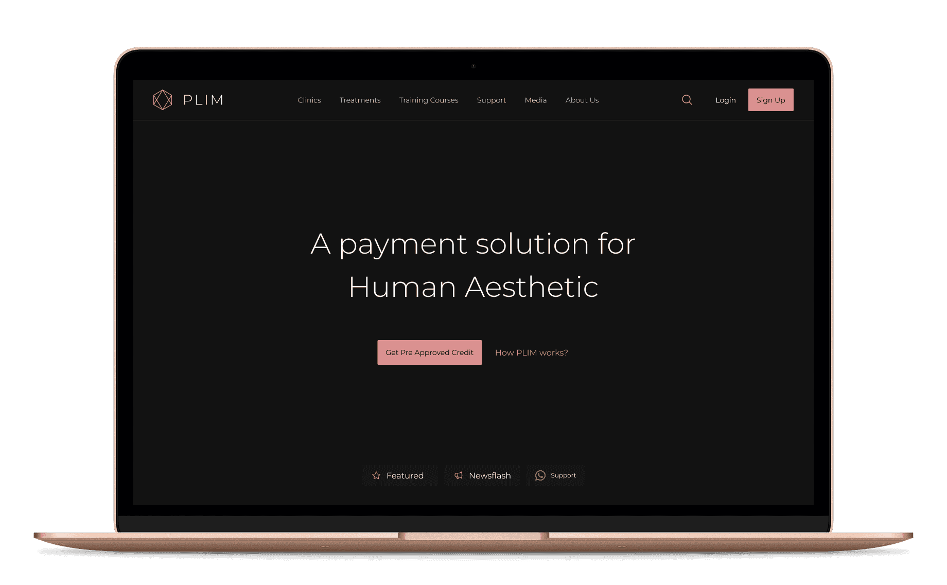 PLIM final screen